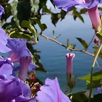 Nyaraló & Vacanze Lo Scoglio *