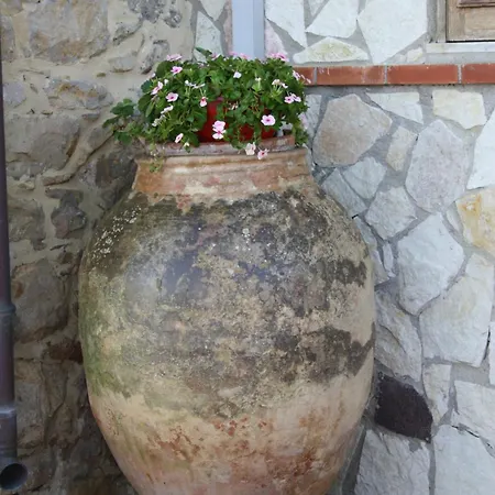 Holiday home & Vacanze Lo Scoglio Castel di Tusa