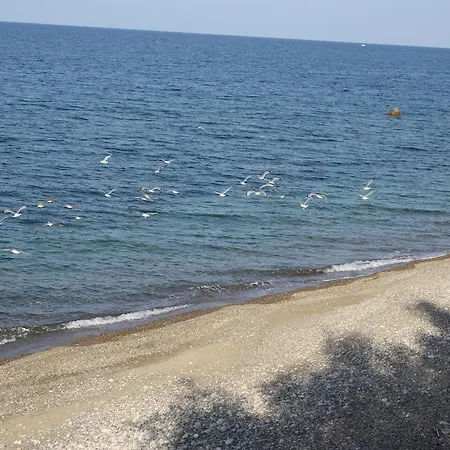 בית נופש & Vacanze Lo Scoglio קסטל די טוסה