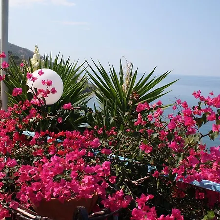 Holiday home & Vacanze Lo Scoglio *