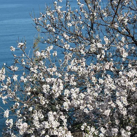 Holiday home & Vacanze Lo Scoglio *