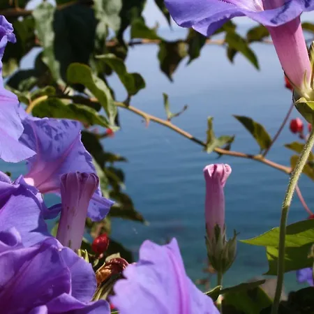 Holiday home & Vacanze Lo Scoglio *