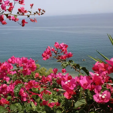 Holiday home & Vacanze Lo Scoglio *